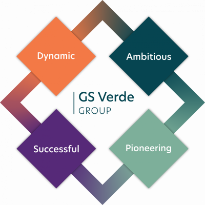 GS Verde Group Values